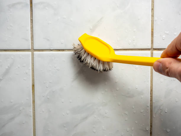 Best Kitchen Mold Remediation in Lla Lla East, WA